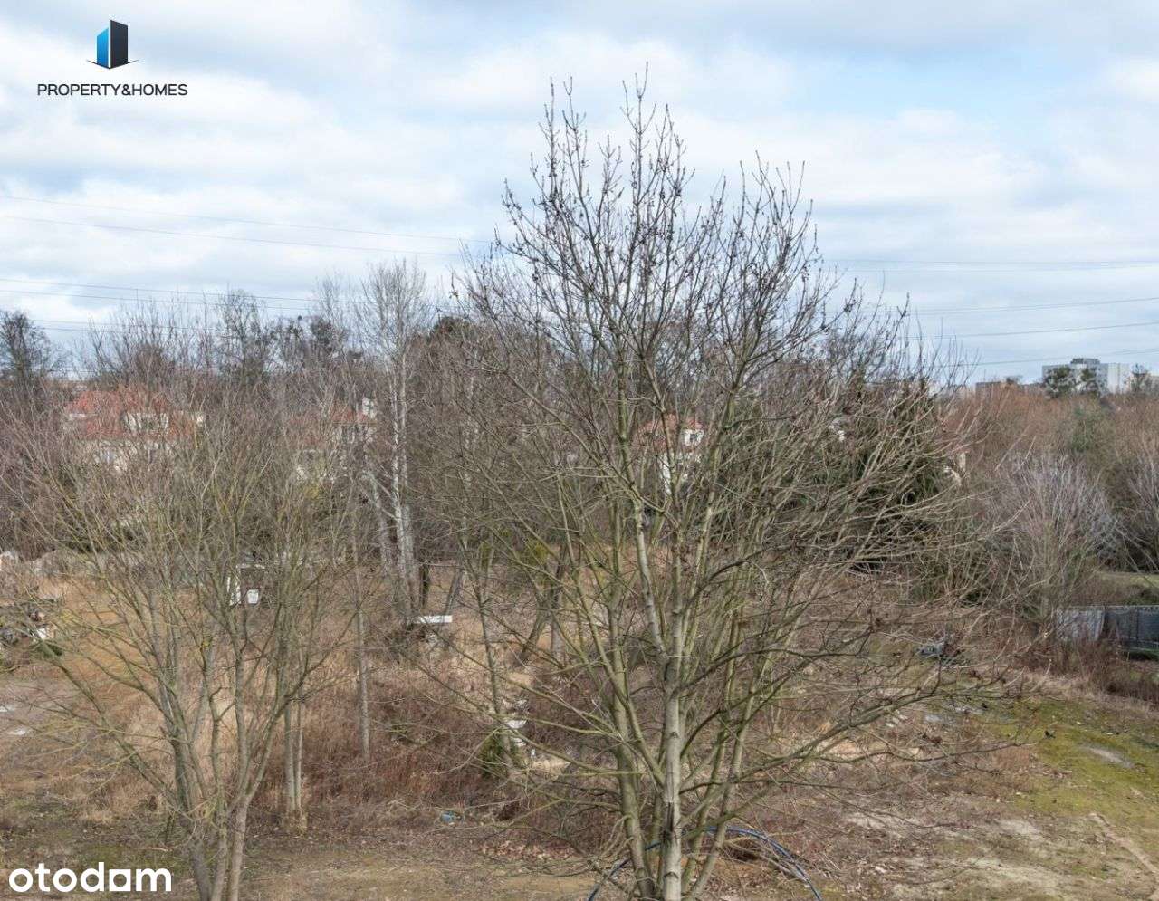 Sołacz, duża działka z pozwoleniem na budowę-4