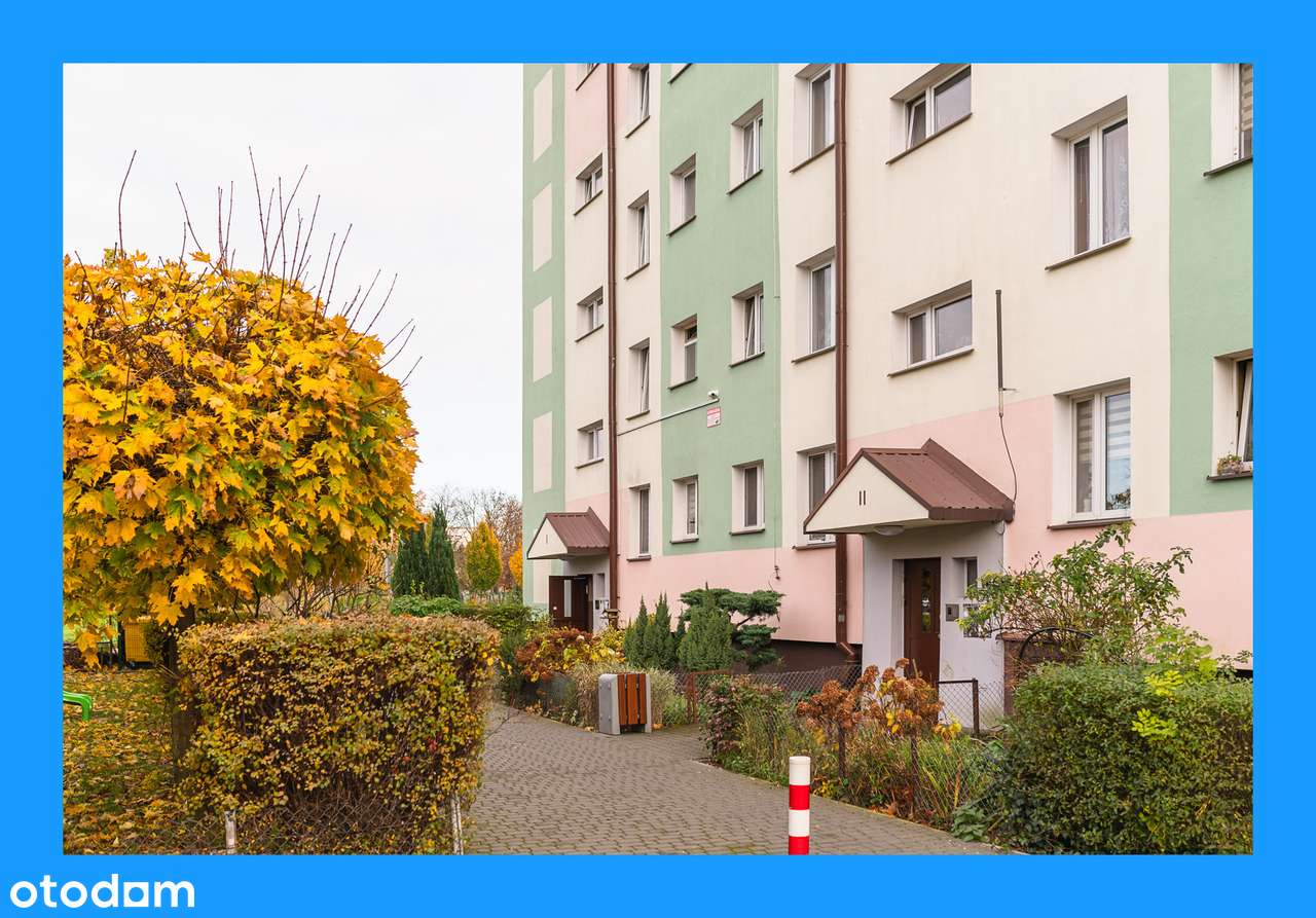 Duże | 4 pokojowe | Z balkonem | Do zamieszkania | W Zadbanym bloku |-0