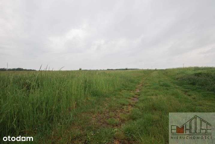 Mazurowice - Działki- Las - Malczyce / Blisko A4 - Pełny obrazek: 5/9