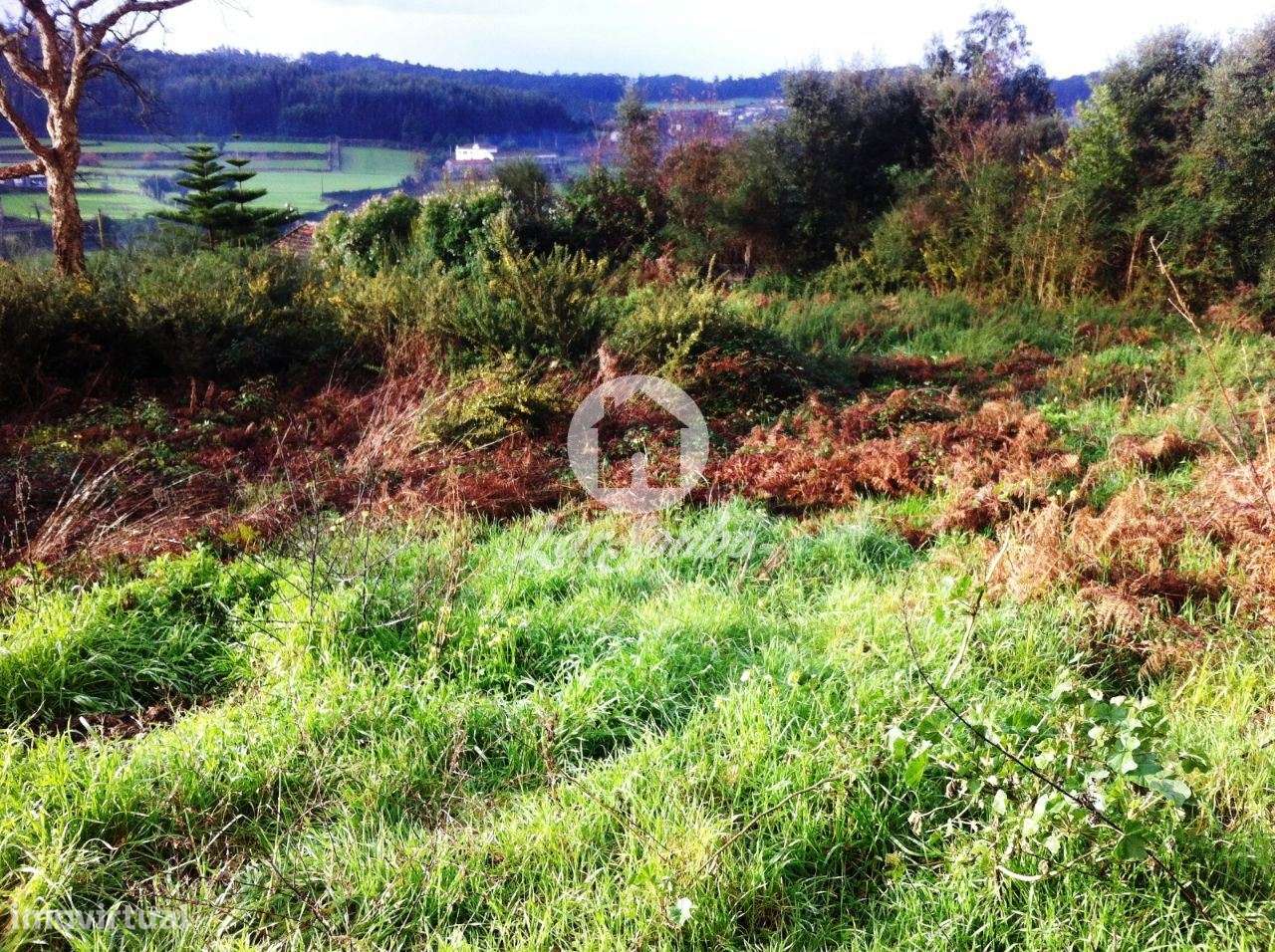 Terreo para construção c/ 2.730m2 em Fornelo - Vila do Conde - Grande imagem: 4/5