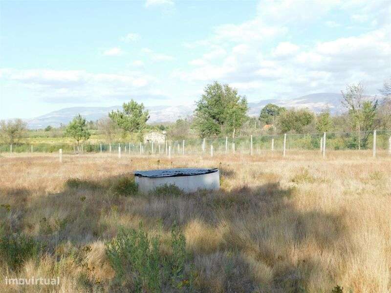 Terreno / Seia, Santa Comba - Grande imagem: 5/6