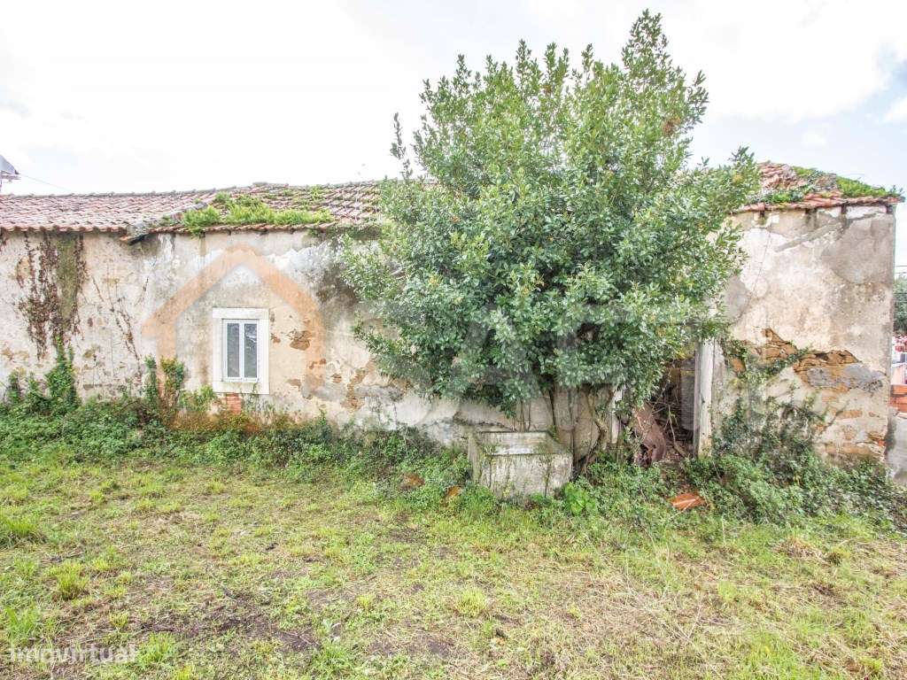 Moradia T3 térrea para recuperar - Grande imagem: 4/7