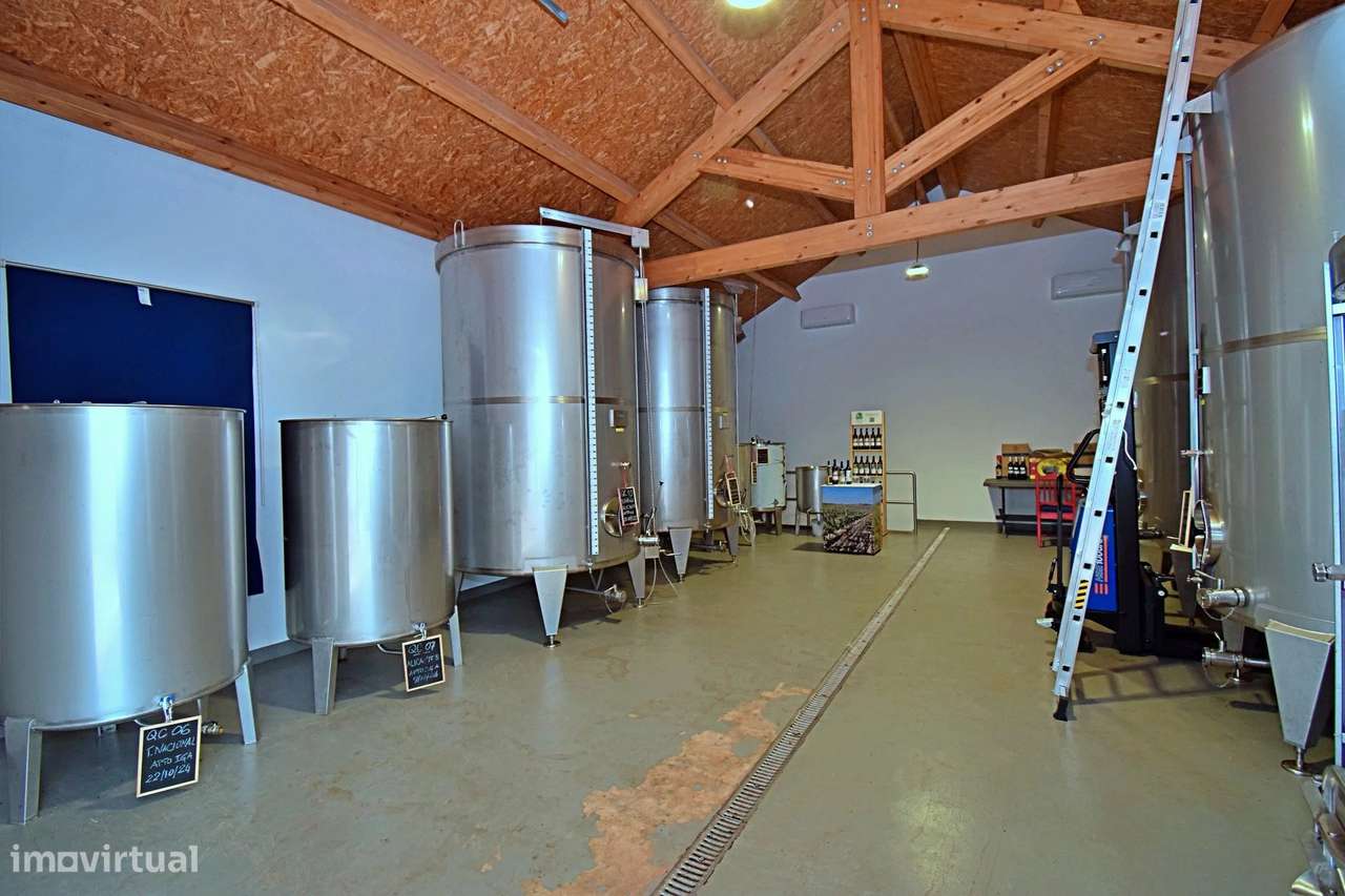 Adega com certificação DOC Alentejo - Grande imagem: 4/14