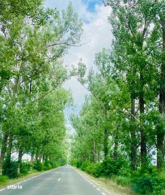 Teren rezidential langa lac Snagov in Silistea Snagovului iesire A3-6