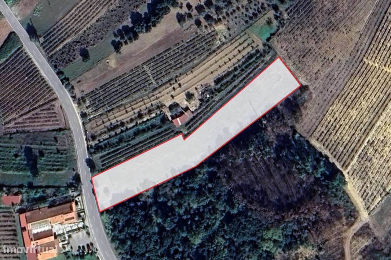 Terreno com viabilidade de construção em São Lourenço do Bairro-0