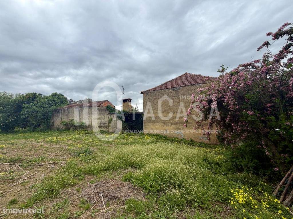 Moradia isolada T3 + terreno para venda em 12kms do centro de Águeda-14