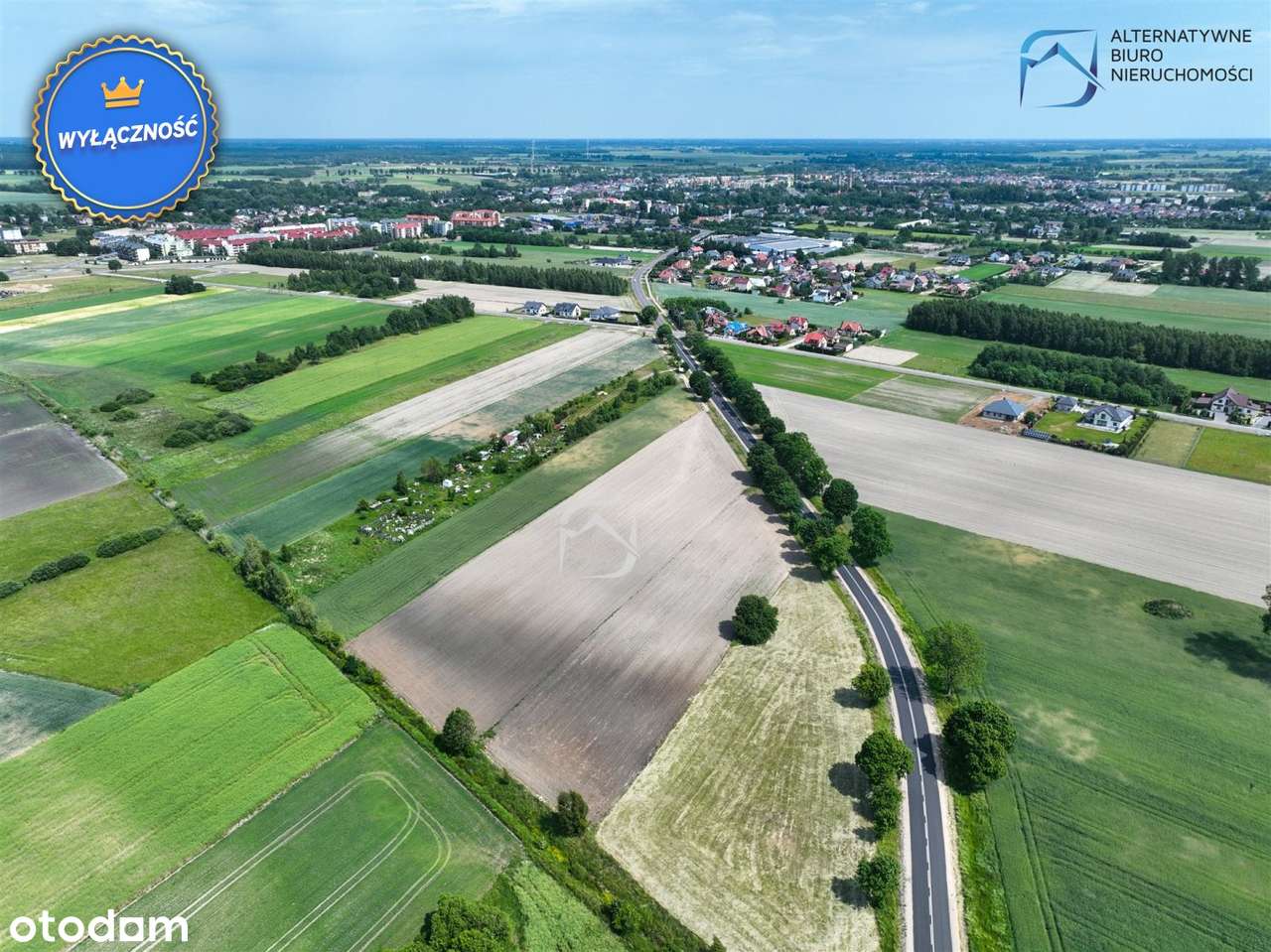 Działki pod prywatne ogródki działkowe - Parczew - Pełny obrazek: 4/14