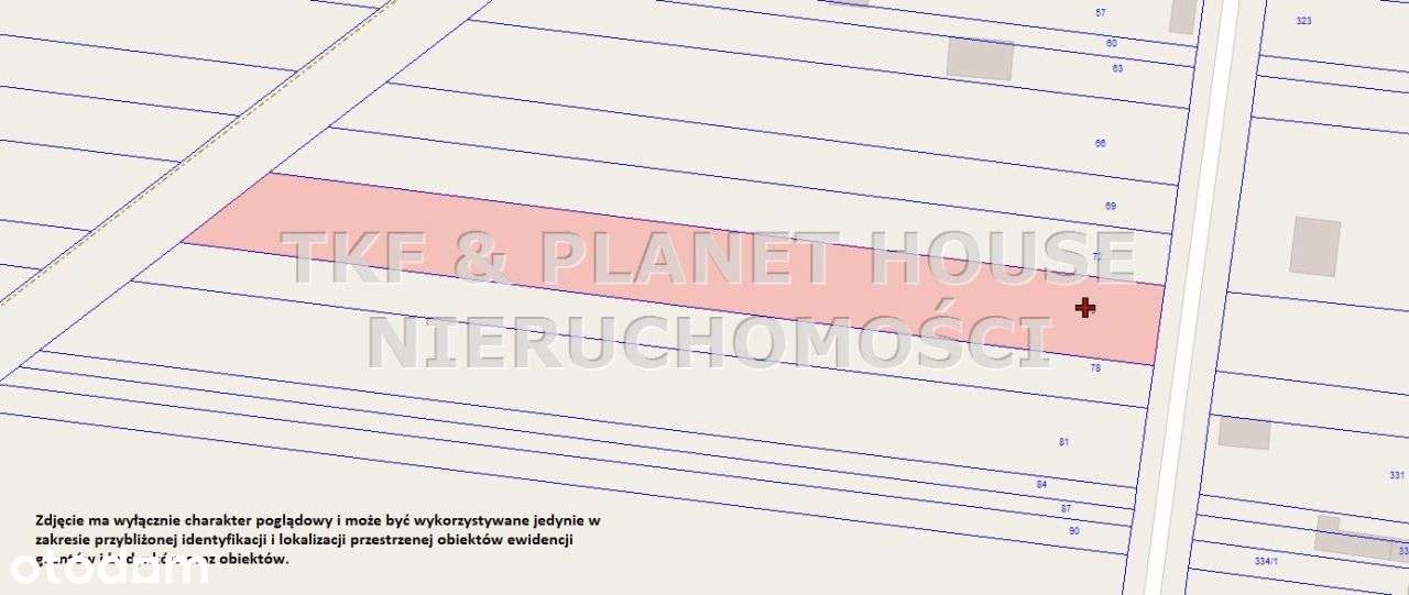 Działka Modrzew 2900m2 - Pełny obrazek: 5/5