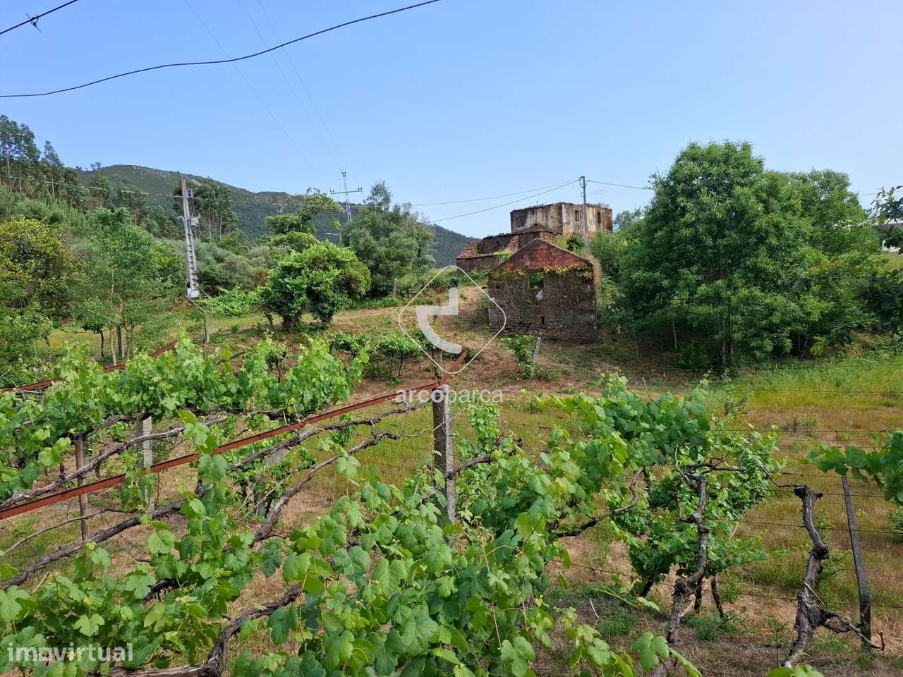 Quintinha ruinas p/restauro com 2520m2 - Moreira Lima - Ponte de Lima-14