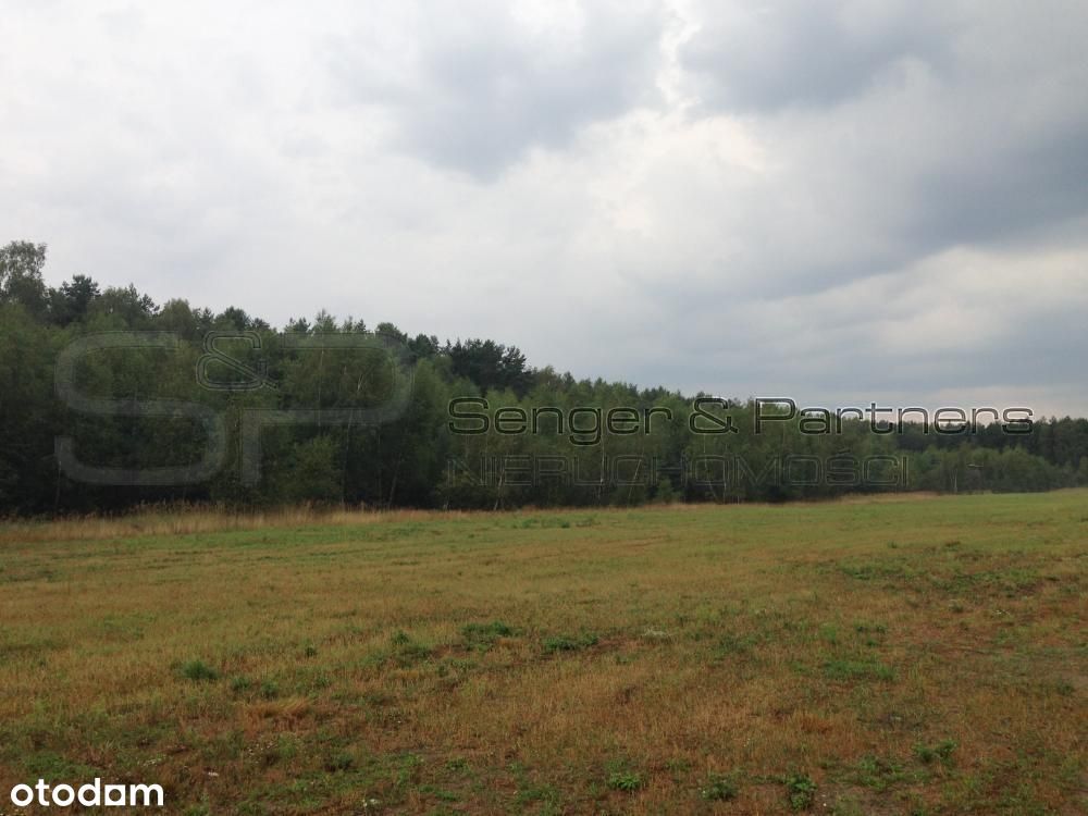 Działka budowlana 1000m2, okolice Chodzieży