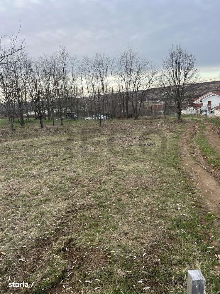 RECO, teren intravilan in Paleu - Imagine principală: 4/4