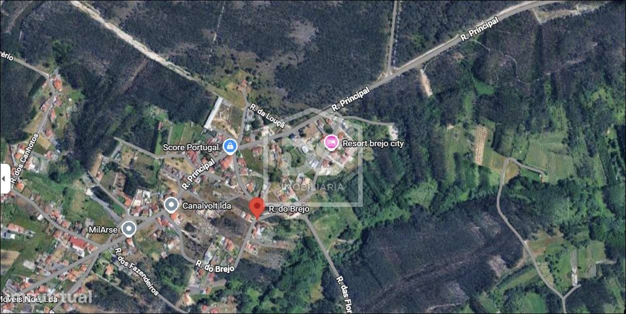 Terreno Rústico  Venda em Amor,Leiria - Grande imagem: 2/2