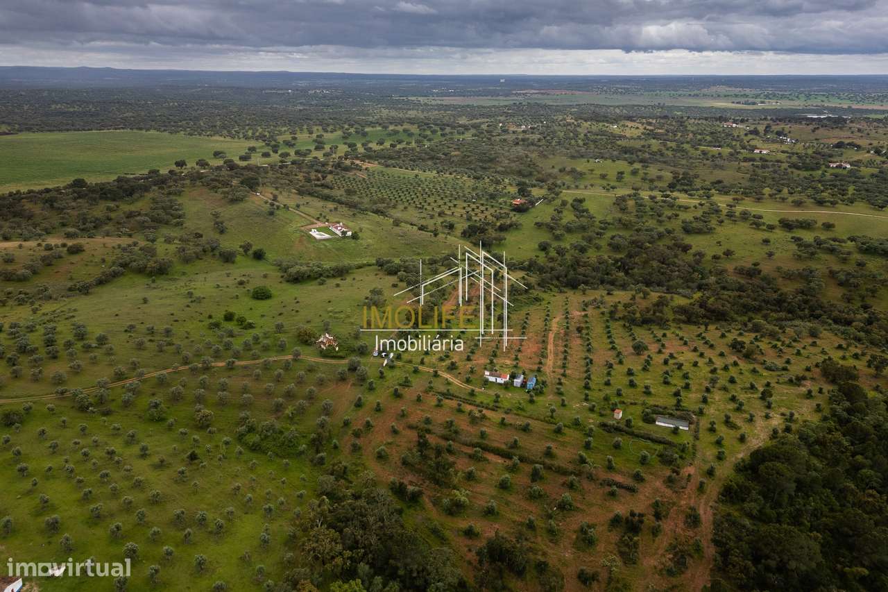 MONTINHO DO CHIADO - MALARRANHA - PAVIA-35