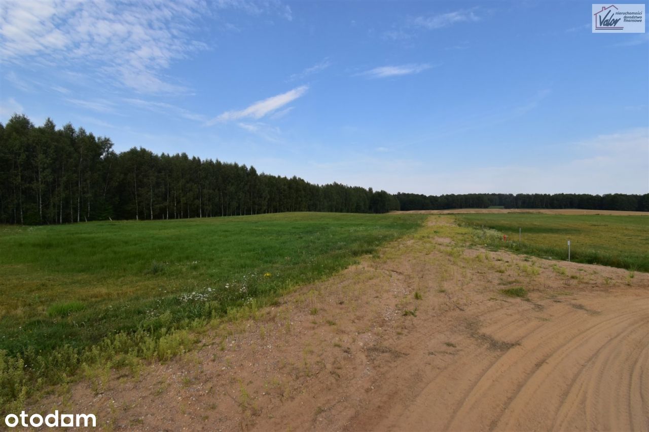 Działka, 3 004 m², Nowe Włóki