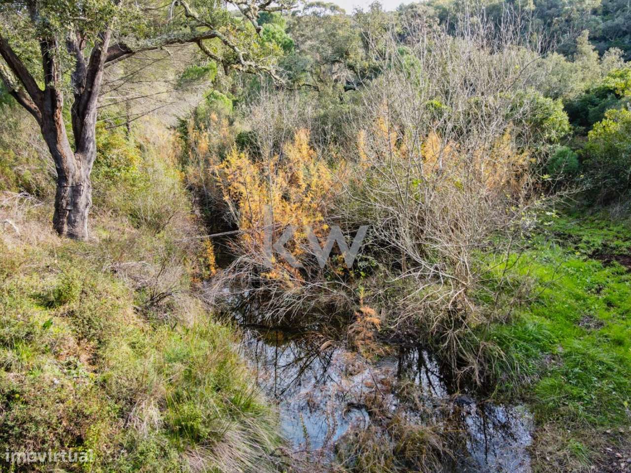 Herdade Única no Alentejo Litoral – Santa Margarida da Serra | Grândol - Grande imagem: 5/55