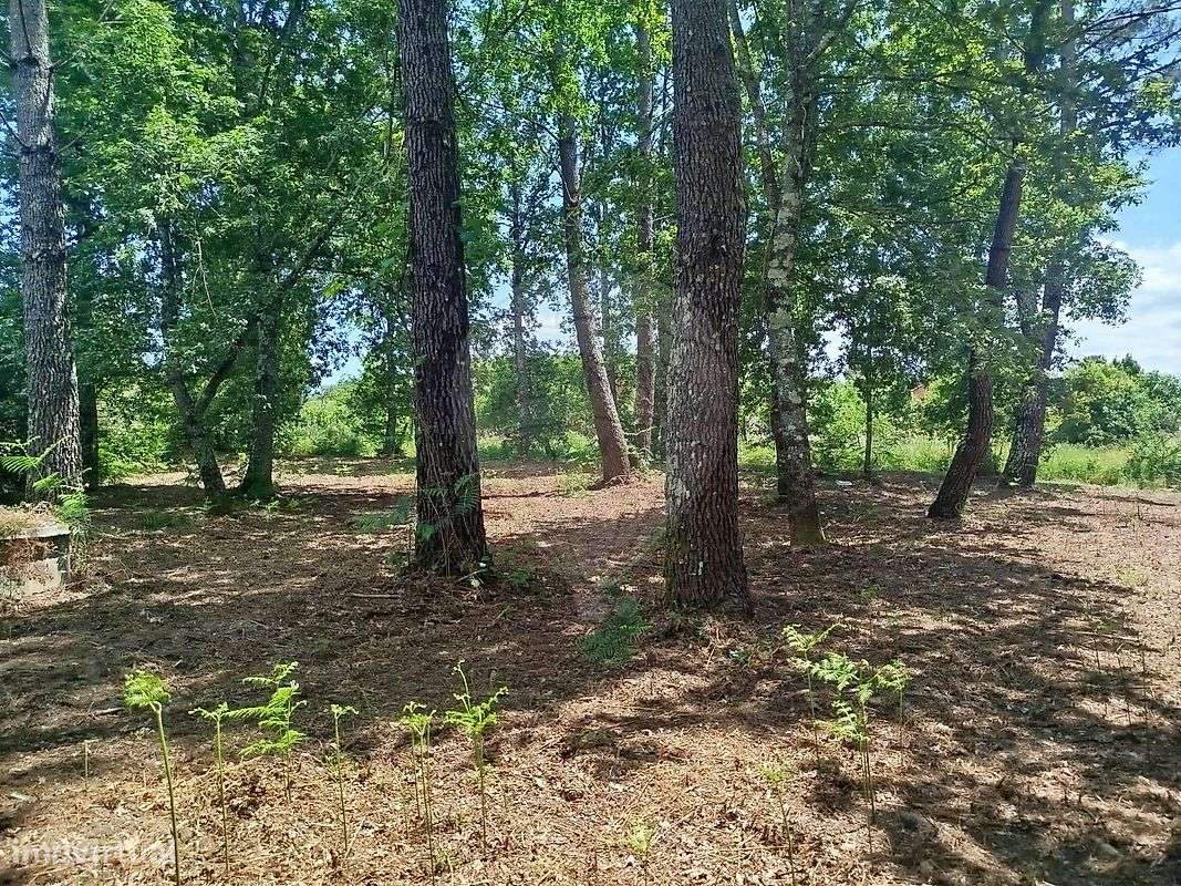 Terreno  para venda - Grande imagem: 5/20