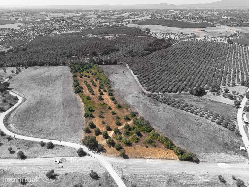 Terreno - Terra Fria, Casével, Santarém-0