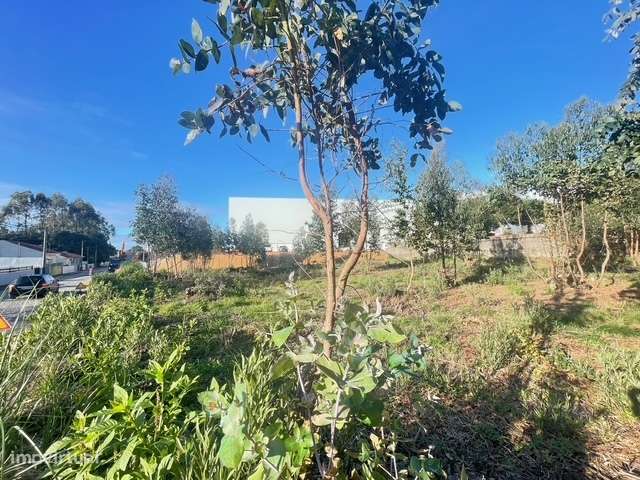 Terreno com 733m2, localizado próximo do Centro de Canelas!-8