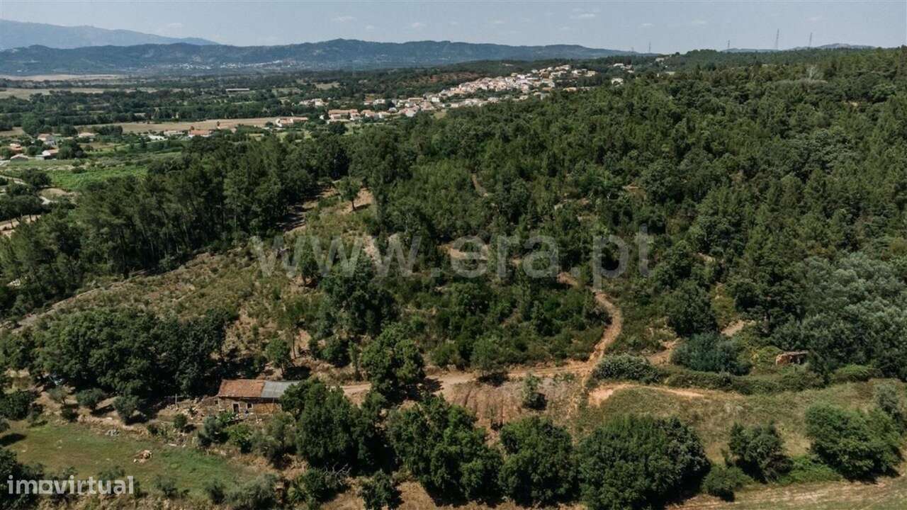 Terreno Rústico / Fundão, Fatela-10