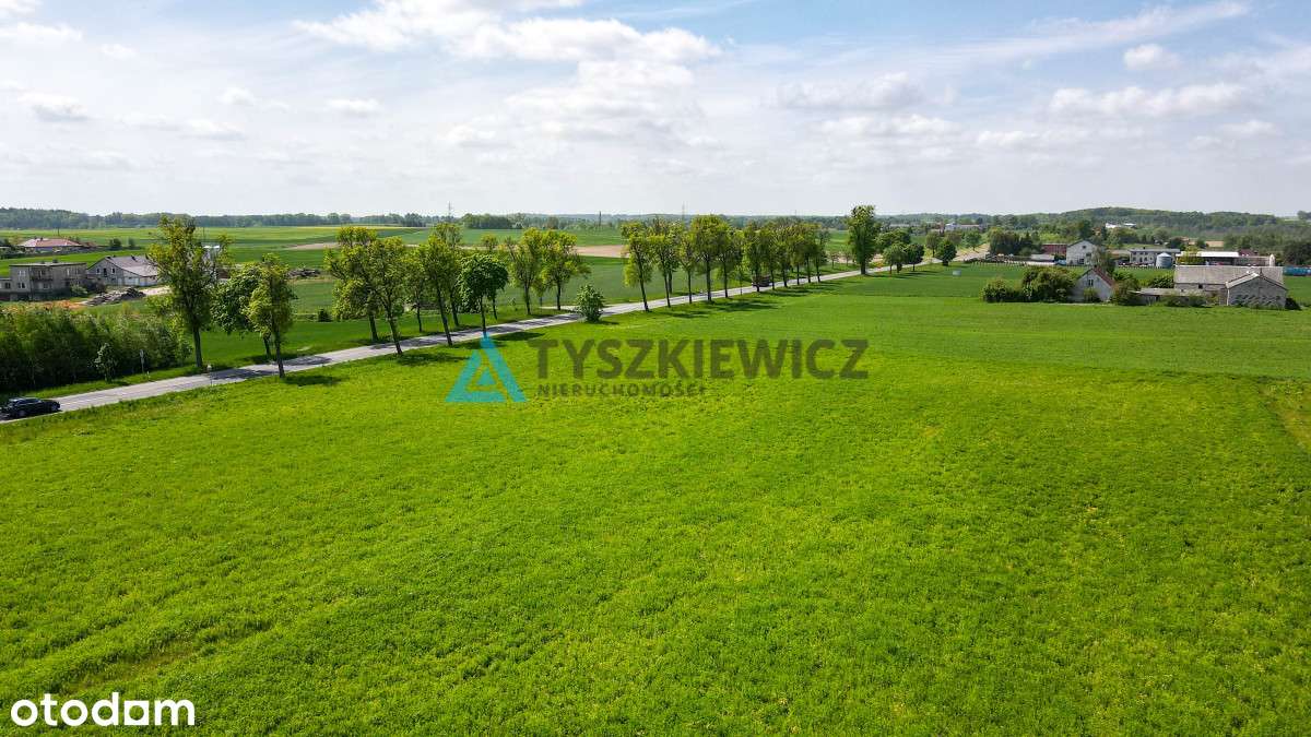 Malownicza działka w Sucuminie - Pełny obrazek: 5/19