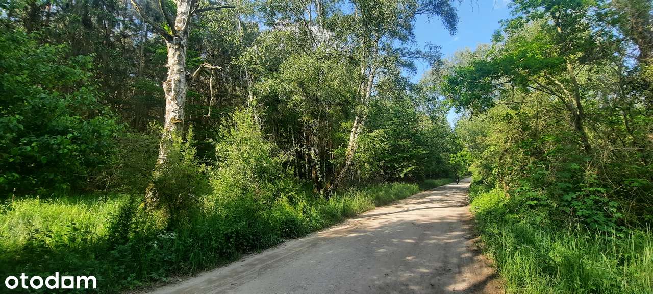 Działka SIEDLISKOWA 1MR 40km od Poznania lasy  jezioro, stadnina koni-10