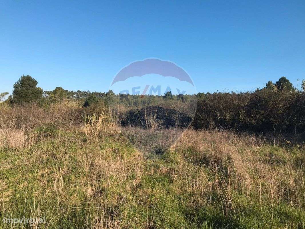 Terreno  para venda - Grande imagem: 3/6