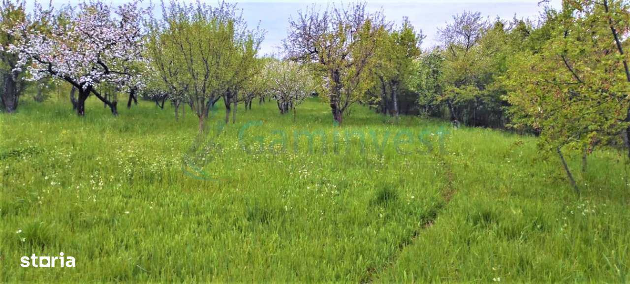 Teren de vanzare, zona Dealuri, Oradea, Bihor,Gaminvest,V3155A - Imagine principală: 3/5