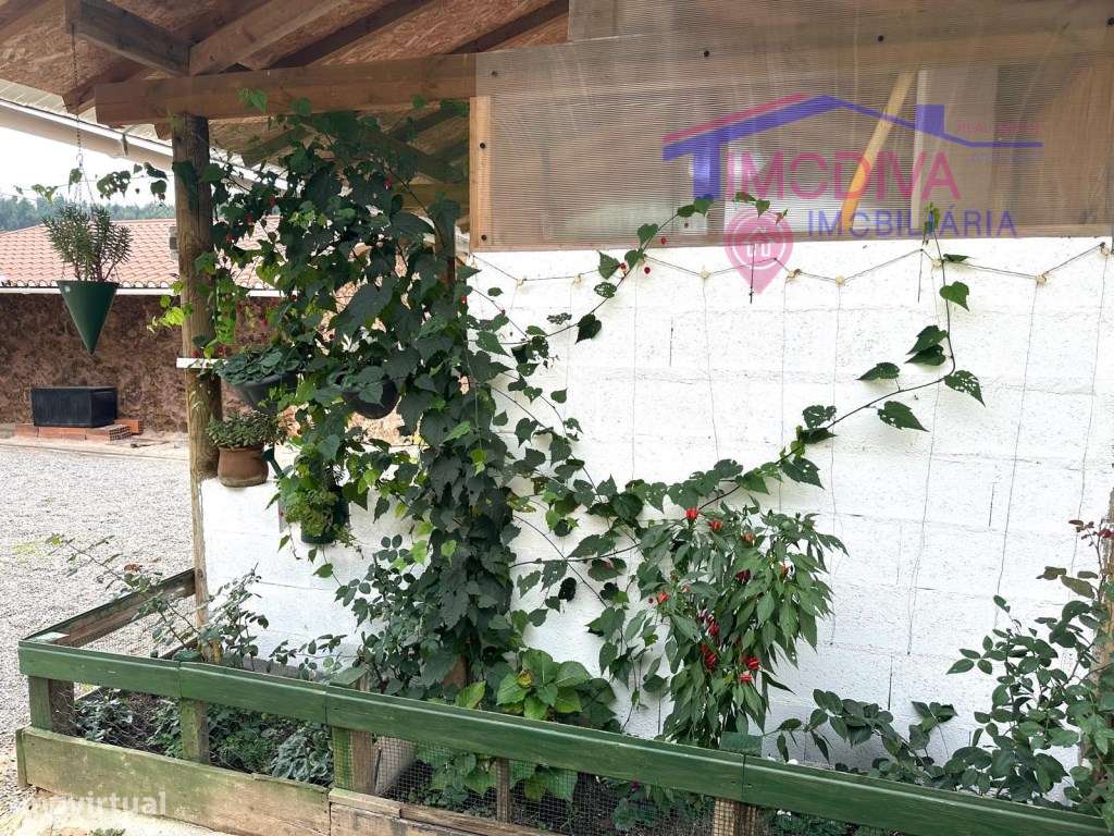 Moradia T2 a 5 minutos das Fragas São Simão-25