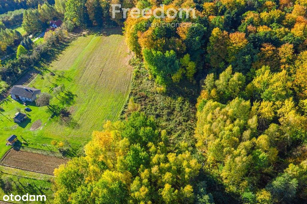 Widokowa działka pod zabudowę – Mogielnica-5