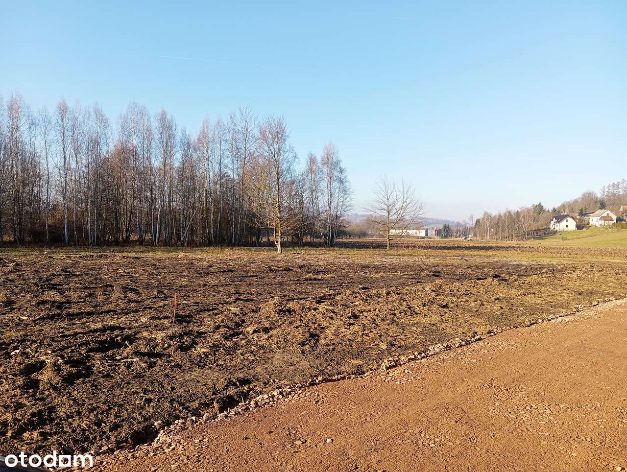 Płaska działka 30a w ostatniej linii zabudowy. - Pełny obrazek: 5/5