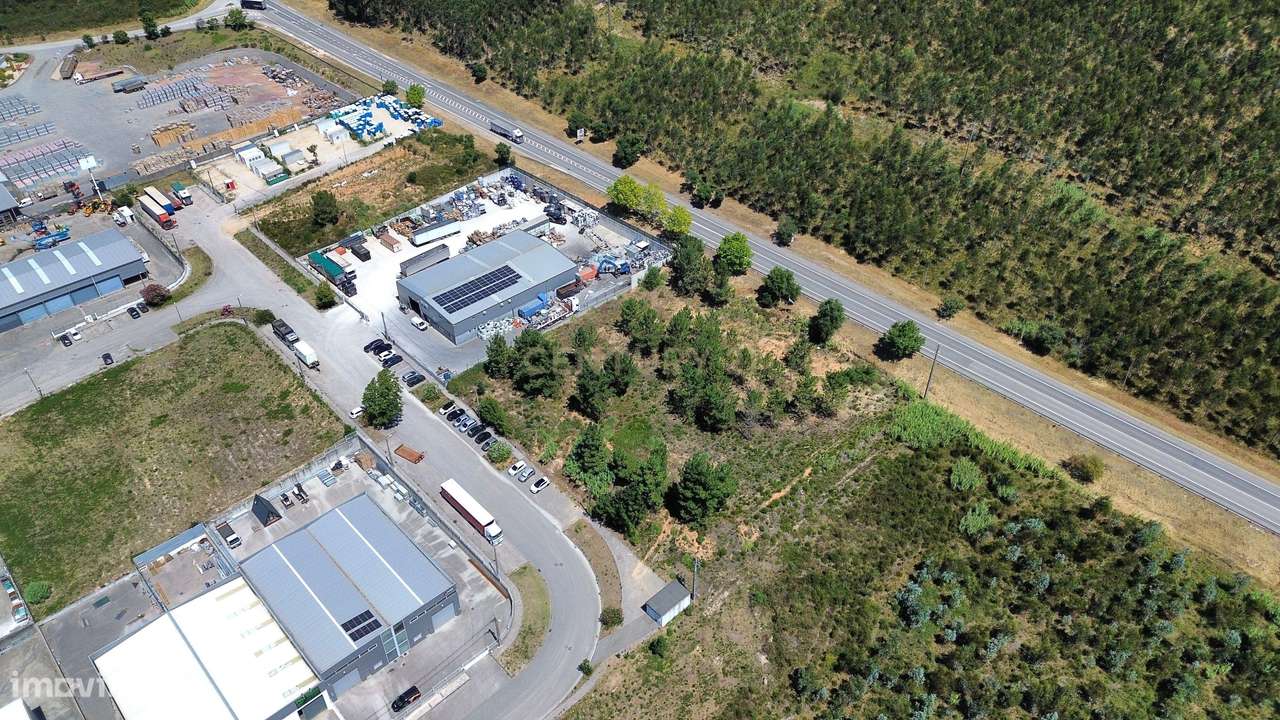 Terreno Urbano em Pelariga, Pombal - 6048m² com Viabilidade - Grande imagem: 5/15