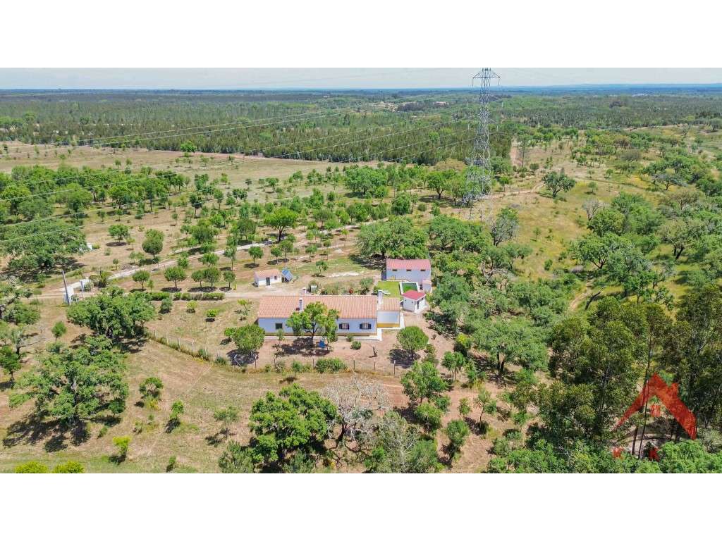 Herdade do Barranco-6