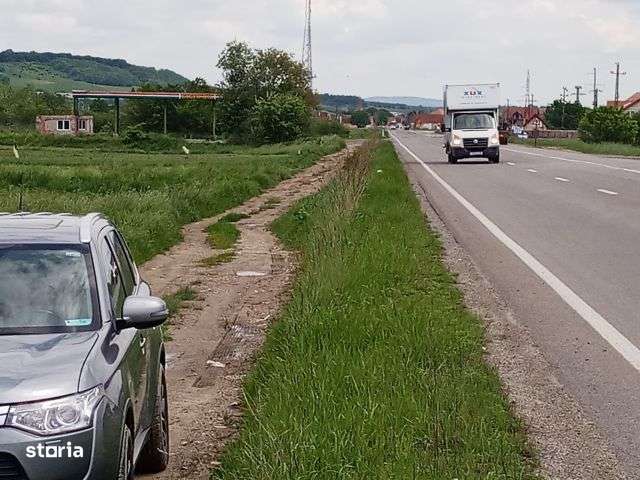 Imobiliare Maxim - teren intravilan 6000 mp la DN 1 - Imagine principală: 4/16