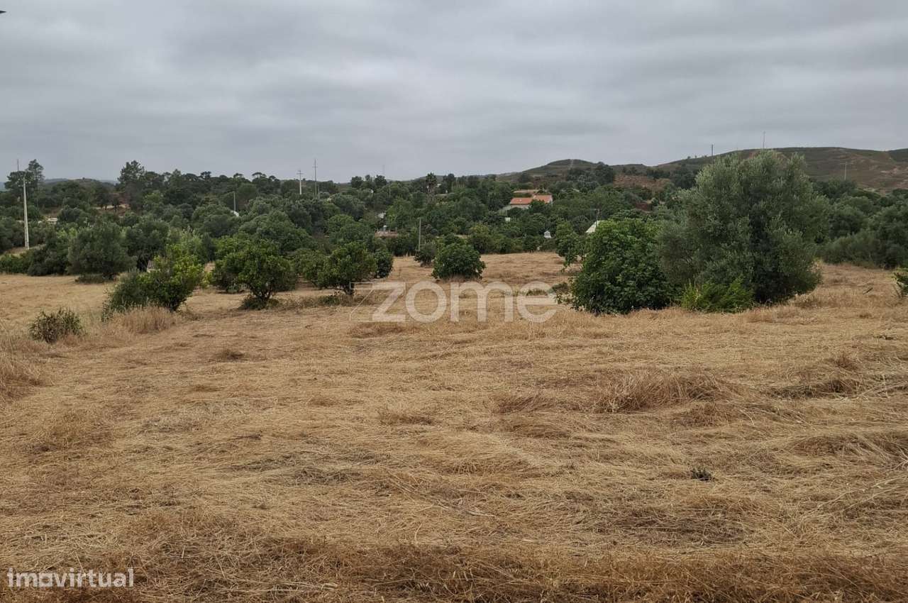 Terreno Rústico c/ Furo, c/ 18.360m2 em Messines - Grande imagem: 4/24