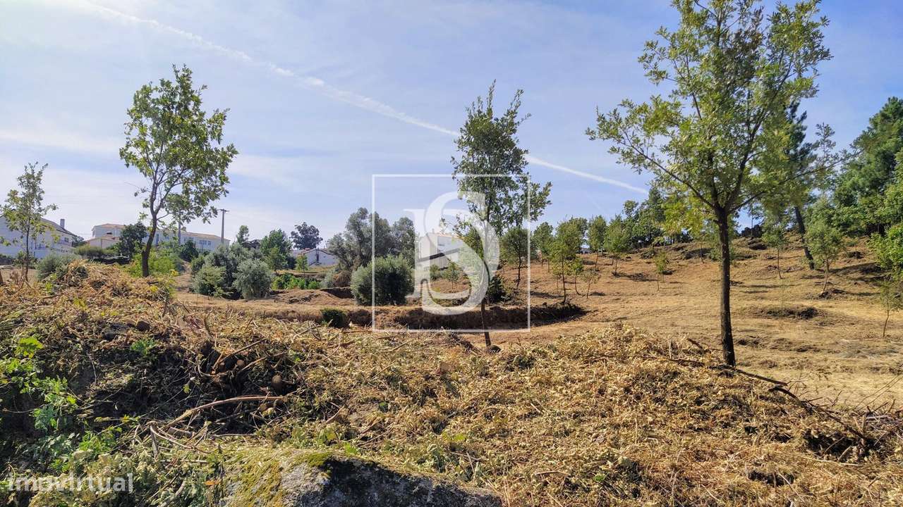 Terreno  Venda em Belmonte e Colmeal da Torre,Belmonte-9