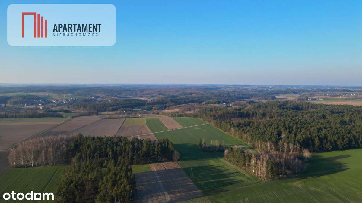 Siedlisko, 5,9 ha, pod inwestycje - Pełny obrazek: 4/14