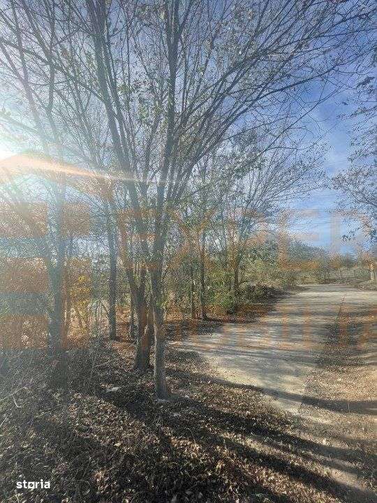 Teren intravilan situat in zona Agigea-Poarta 10 - Imagine principală: 2/10