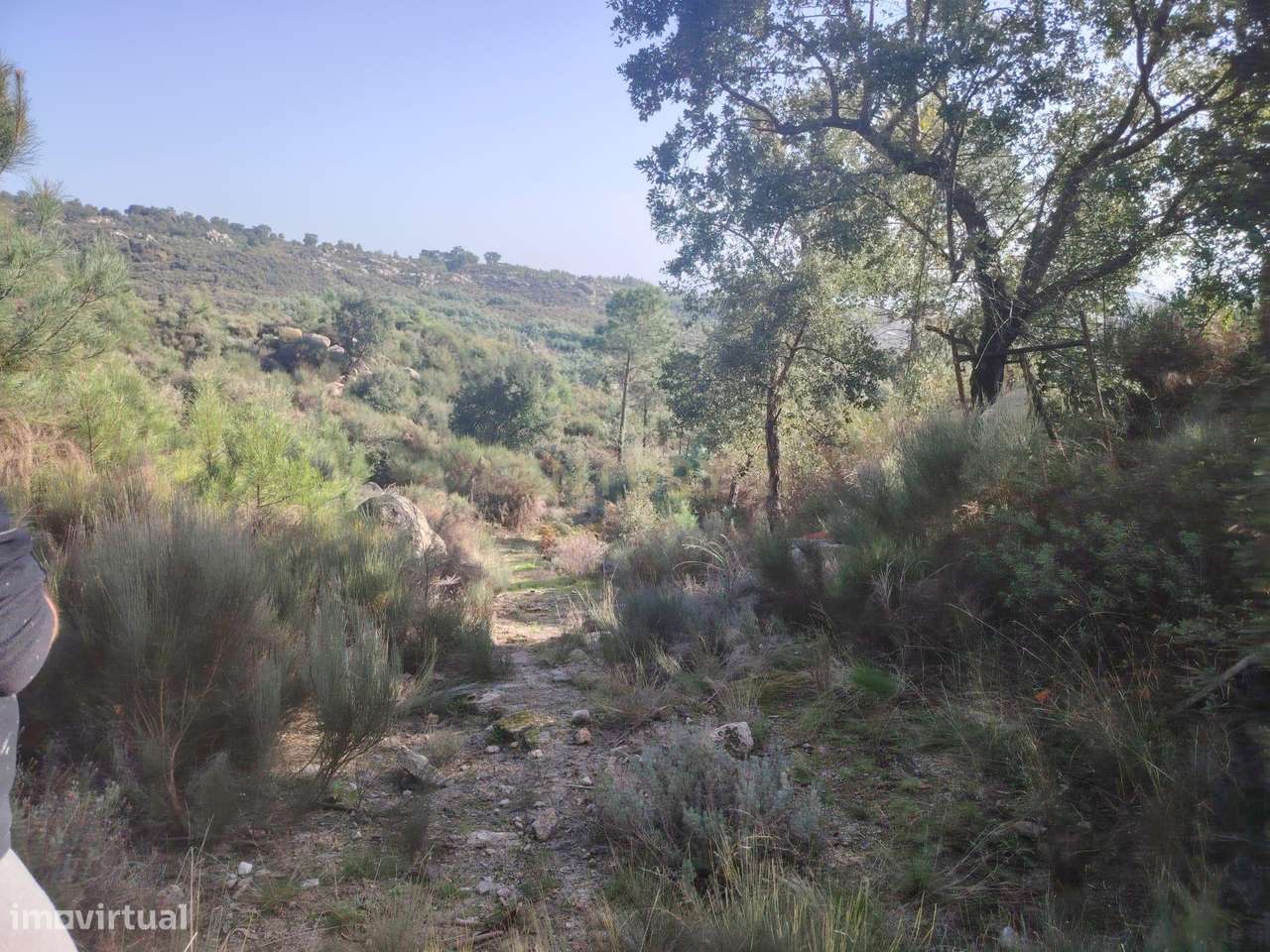 Terreno rústico, Louriçal do Campo, - Grande imagem: 2/8
