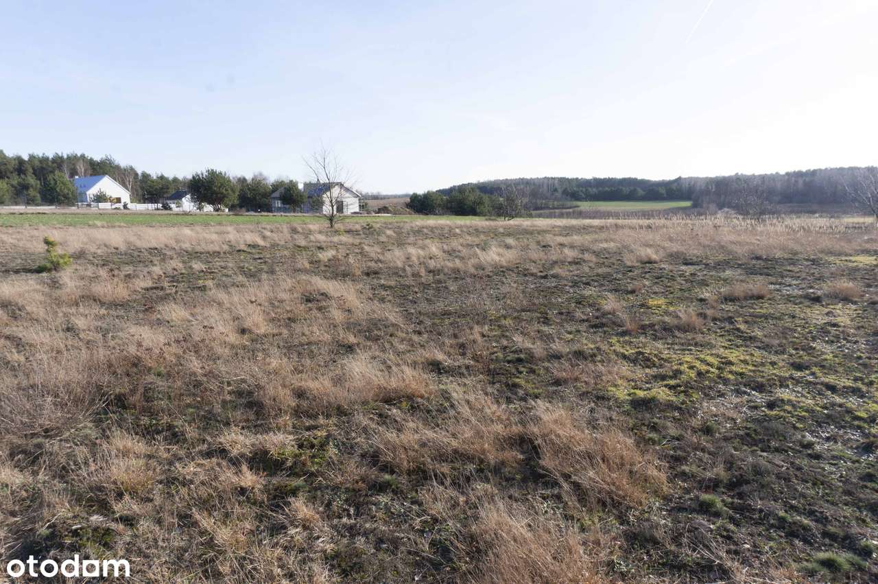 Działka budowlana 1.000 m2 - Katarzynów gm. Ozorków - Pełny obrazek: 5/6