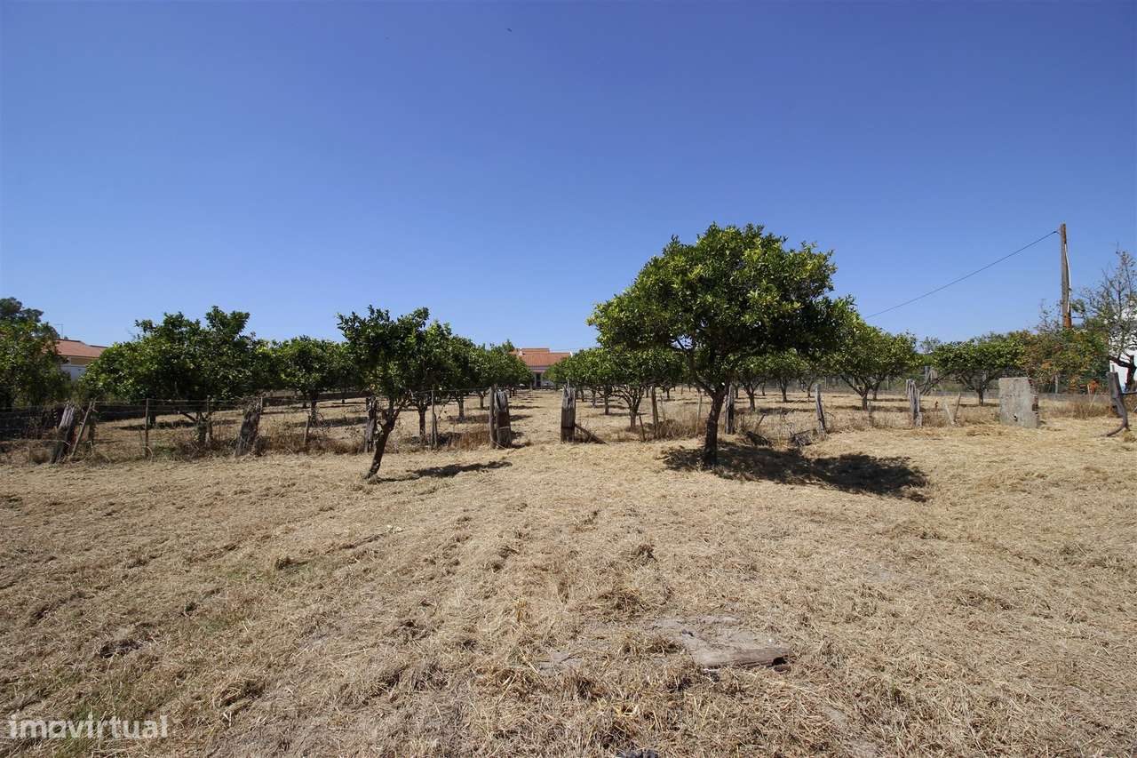Moradia T3 Venda em Vendas Novas,Vendas Novas-22