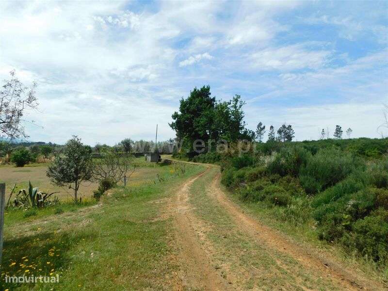 Terreno / Seia, Sameice e Santa Eulália - Grande imagem: 2/15