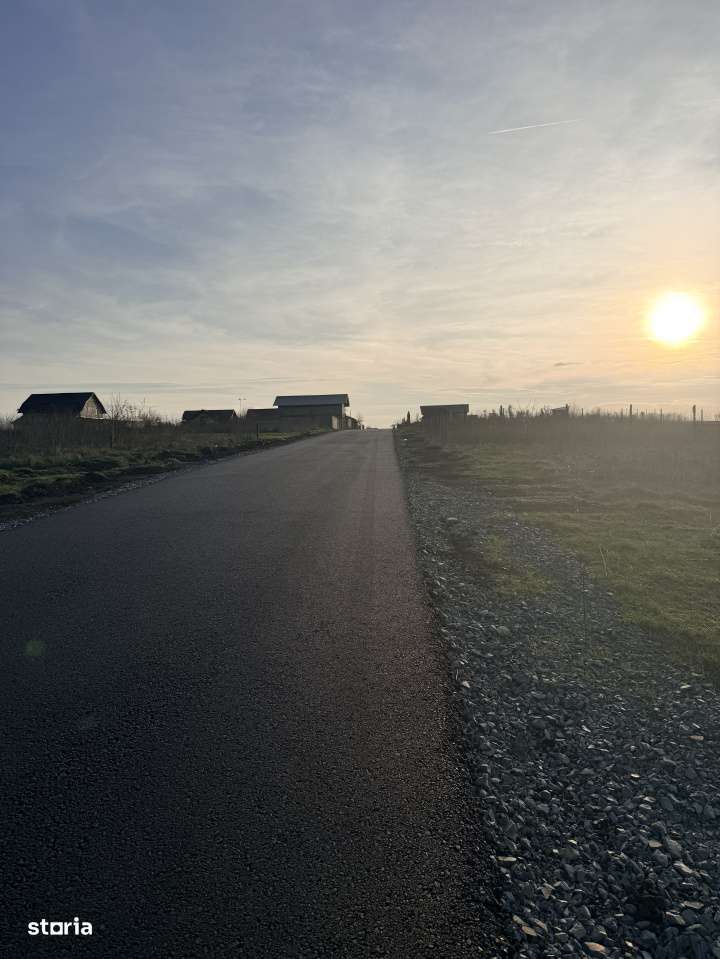 Teren De Vanzare Belciugatele-3