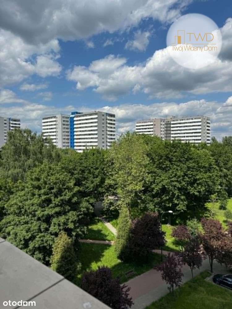 Kawalerka na wynajem na osiedlu Tysiąclecia.