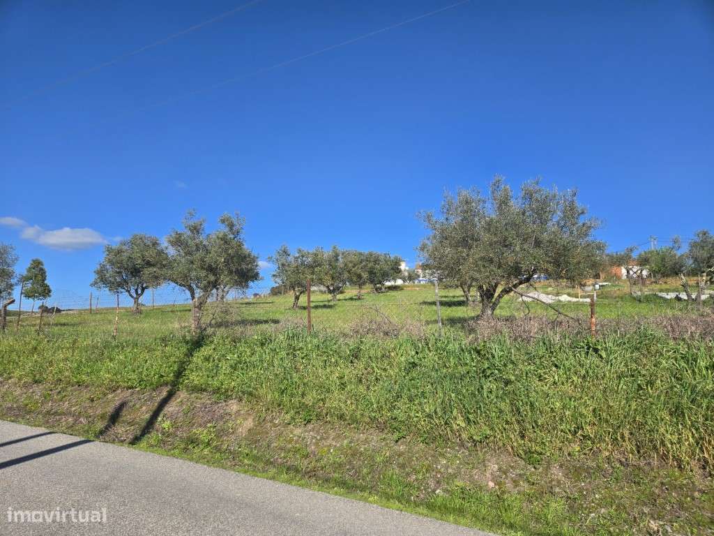 Terreno urbano com 1407 m2 em Santiago Maior - Grande imagem: 4/13