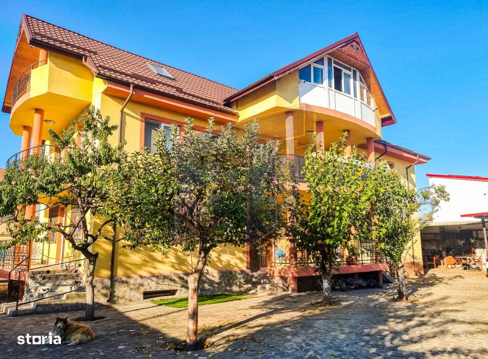 Casa 10 camere Andronache, S+P+1+M, potrivita pentru Clinica, Scoala,