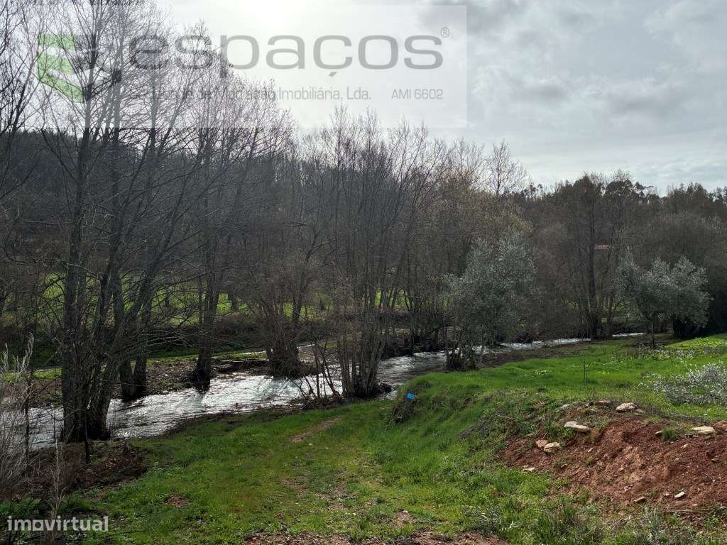 Magnifica Quinta - Grande imagem: 4/31