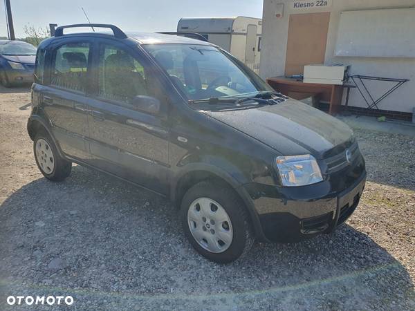 Fiat Panda 1.2 4x4 - 1