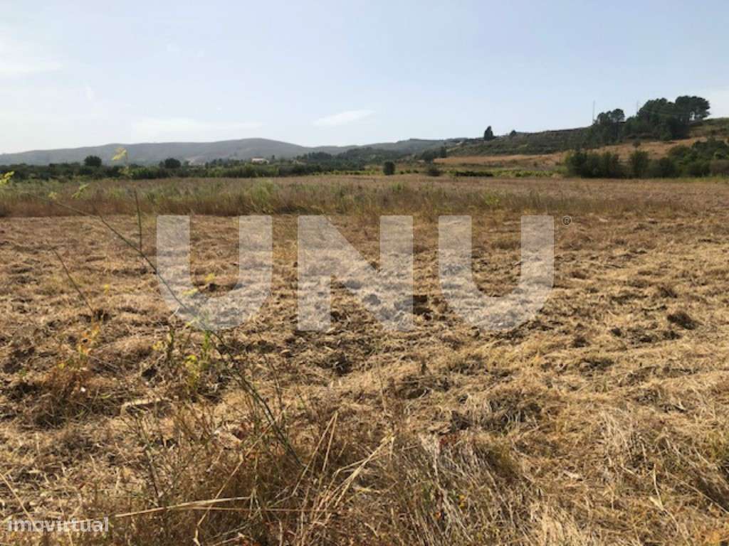 Terreno rústico com 1ha em Telhado, Fundão. - Grande imagem: 3/7