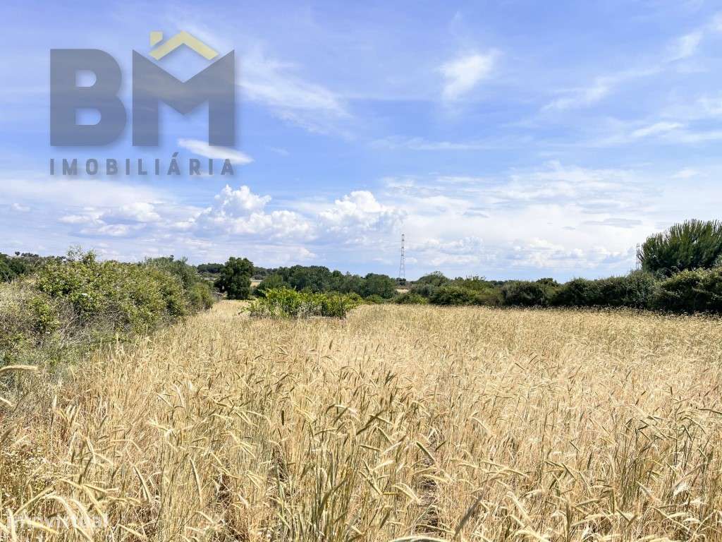 Quinta rural com 9.000m2 em Alcains - Castelo Branco - Grande imagem: 5/20