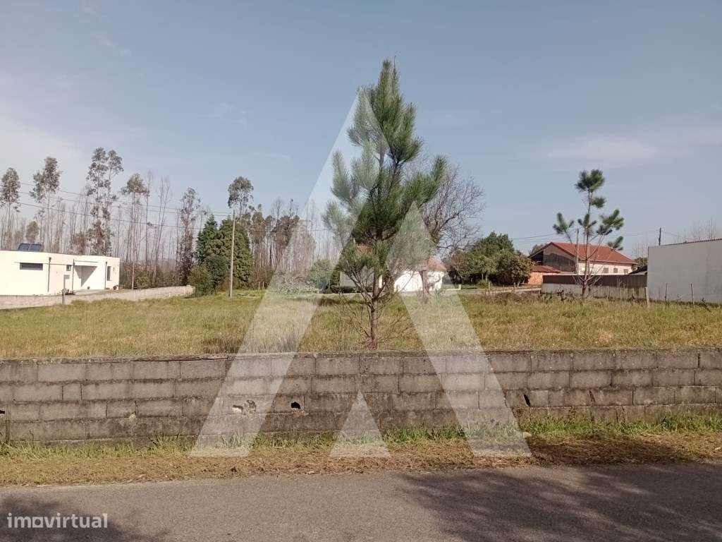 Terreno em Macinhata do Vouga - Grande imagem: 4/13